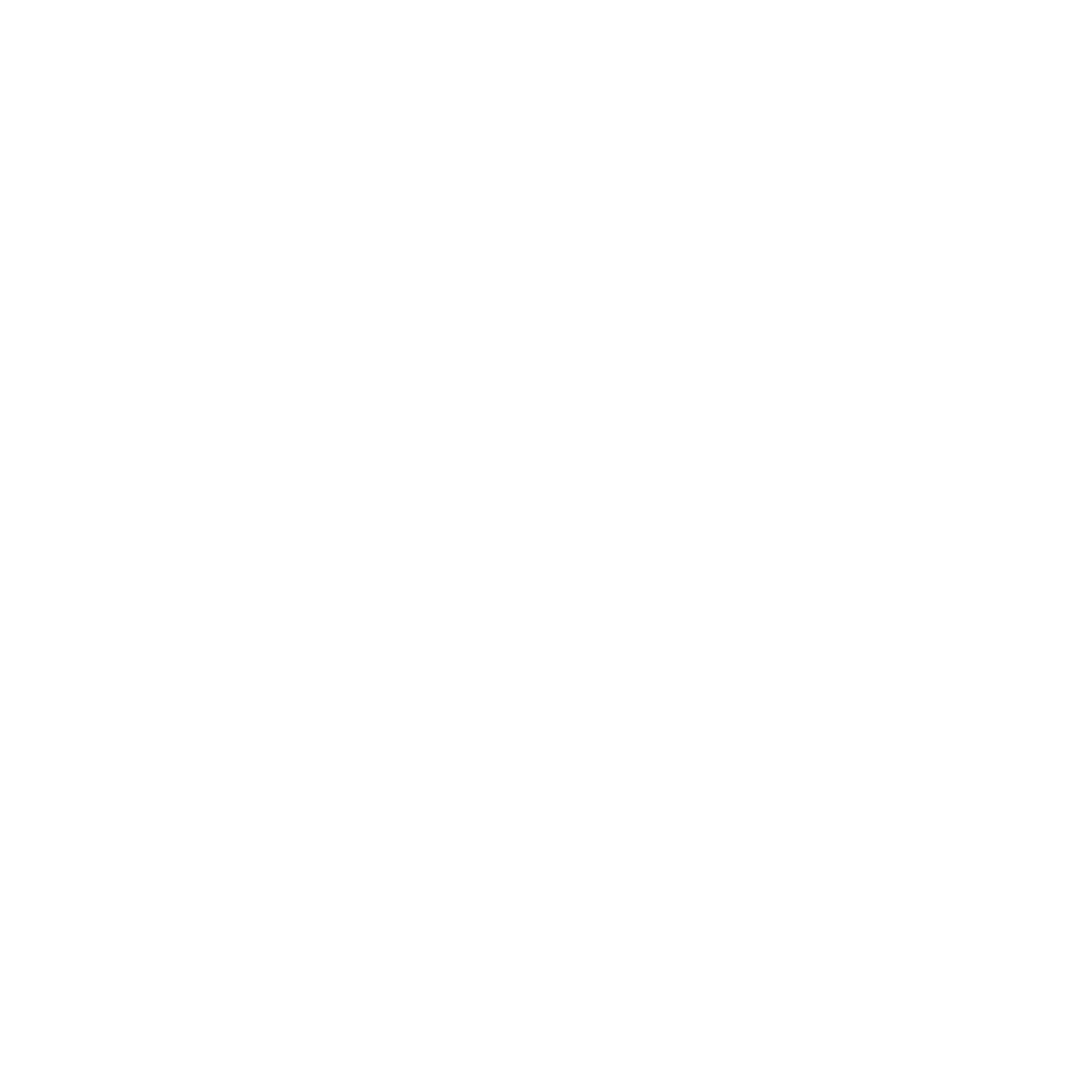 Aontach Jiu-Jitsu logo